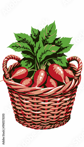 Vibrant Red Radishes in a Handwoven Basket Accompanied by Fresh Green Leaves Against a Simple White Background