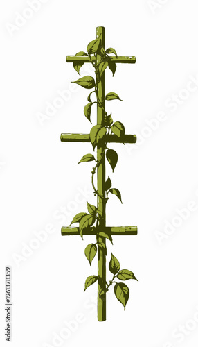 Vertical Wooden Trellis with Lush Green Vines Climbing Effortlessly in a Serene Natural Botanic Environment