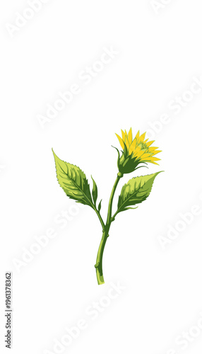 Vibrant Yellow Sunflower Blooming on Lush Green Stalk Against a Minimalist White Background Illustration