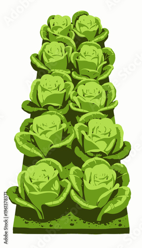 Vibrant Illustration of Fresh Green Cabbage Plants in Neat Rows, Cultivated in a Garden Setting with Rich Brown Soil and Lush Leaves