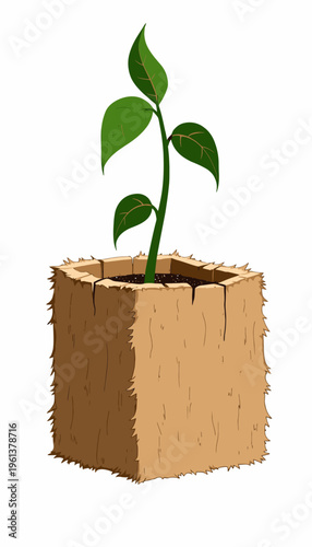 Young Green Plant Seedling Surrounded by Soil in Biodegradable Pot Made of Natural Fiber Illustrating Environmental Sustainability and Growth Potential