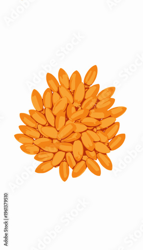 Vibrant Orange Flower Arrangement Comprised of Bright Orange Petals in a Symmetrical Circular Pattern on a Clean White Background