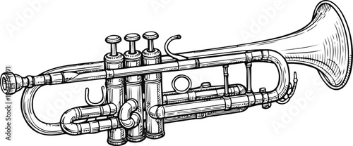 Brass Trumpet Line Art - Musical Instrument Line Art