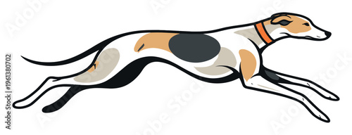 Greyhound dog running fast, showcasing its athletic power, racing ability, and sighthound characteristics in graphic art