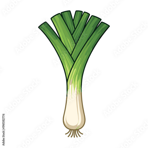 Leek plant with unique green foliage and pale white stem, a popular addition to plant-based dishes and nutritious meals
