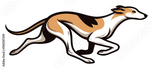 Running greyhound dog vector illustration. Agile sighthound showing athleticism and fast speed. Animal mascot design