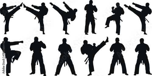 Silhouette of various martial arts poses isolated on transparent background