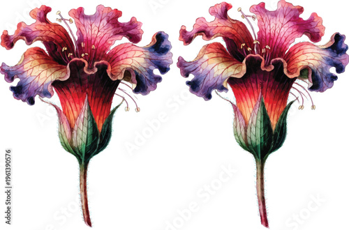 Pair of Vibrant Watercolor Tropical Flowers