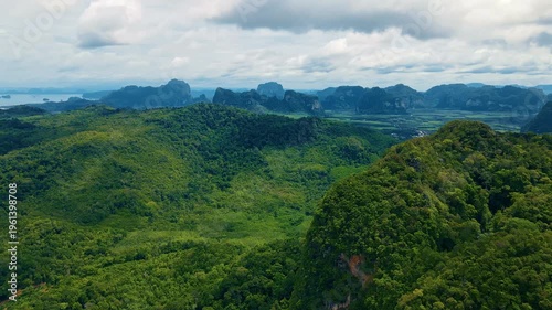Dense Jungle Atop Rugged Limestone Formations. Scenic Aerial View Of Tropical Cliffs And Distant Ocean