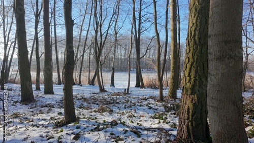 Winter forest and frozen lake aerial landscape