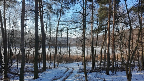 Winter forest and frozen lake aerial landscape