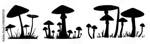 Mushroom forest set with silhouette against twilight canopy featuring mushrooms, fungi, forest with black and white and night sky