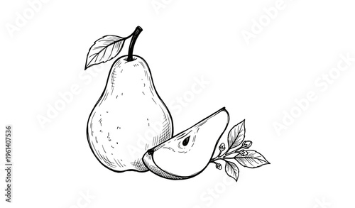 Hand-drawn pear with slice and leaves on white background