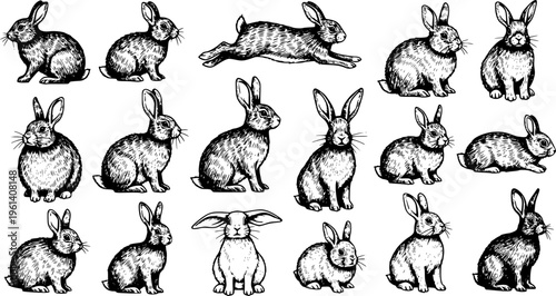 Big collection of rabbit sketches. Transparent background EPS version.