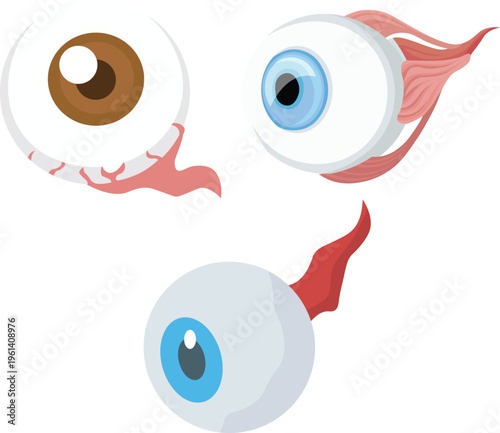 Human eye anatomy vector set eyeballs with muscles and veins illustration
