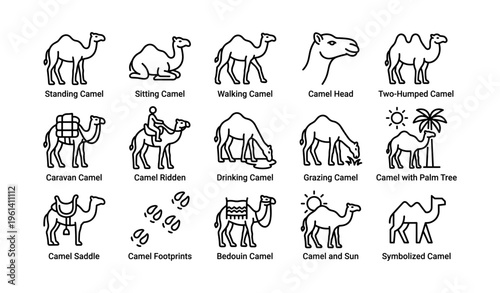 Camel icon set with various poses and activities