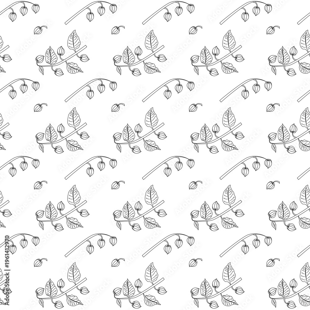 Obraz premium Physalis branch in doodle style. Seamless pattern.
