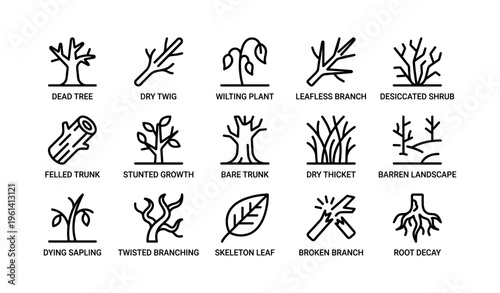 Icons of trees and branches: dead, wilting, leafless, bare, and broken illustrations