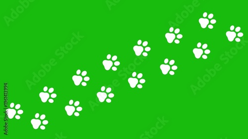 Animal Paw Prints Trail Animation on Green ScreenFootstep Path Motion Graphic for Pet and Wildlife Concept