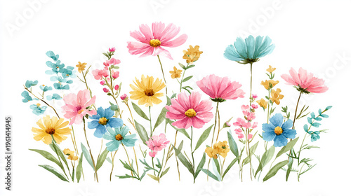 Elegant wedding invitation card background . Minimal hand painted watercolor Cosmosflowers texture template background. Design for wedding, vip cover, poster, rsvp moderncard. Valentine's Day