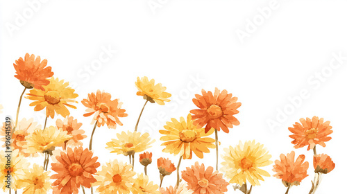 Elegant wedding invitation card background . Minimal hand painted watercolor Cosmosflowers texture template background. Design for wedding, vip cover, poster, rsvp moderncard. Valentine's Day