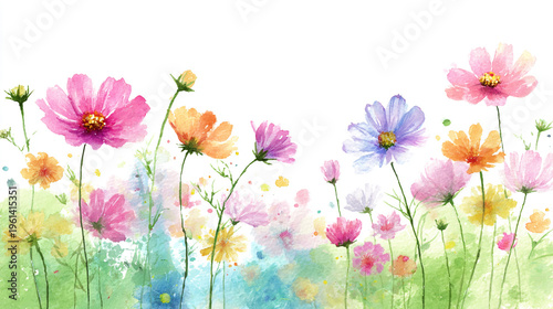 Elegant wedding invitation card background . Minimal hand painted watercolor Cosmosflowers texture template background. Design for wedding, vip cover, poster, rsvp moderncard. Valentine's Day