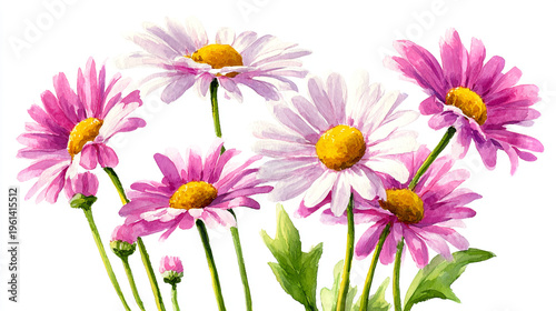 Elegant wedding invitation card background . Minimal hand painted watercolor Cosmosflowers texture template background. Design for wedding, vip cover, poster, rsvp moderncard. Valentine's Day