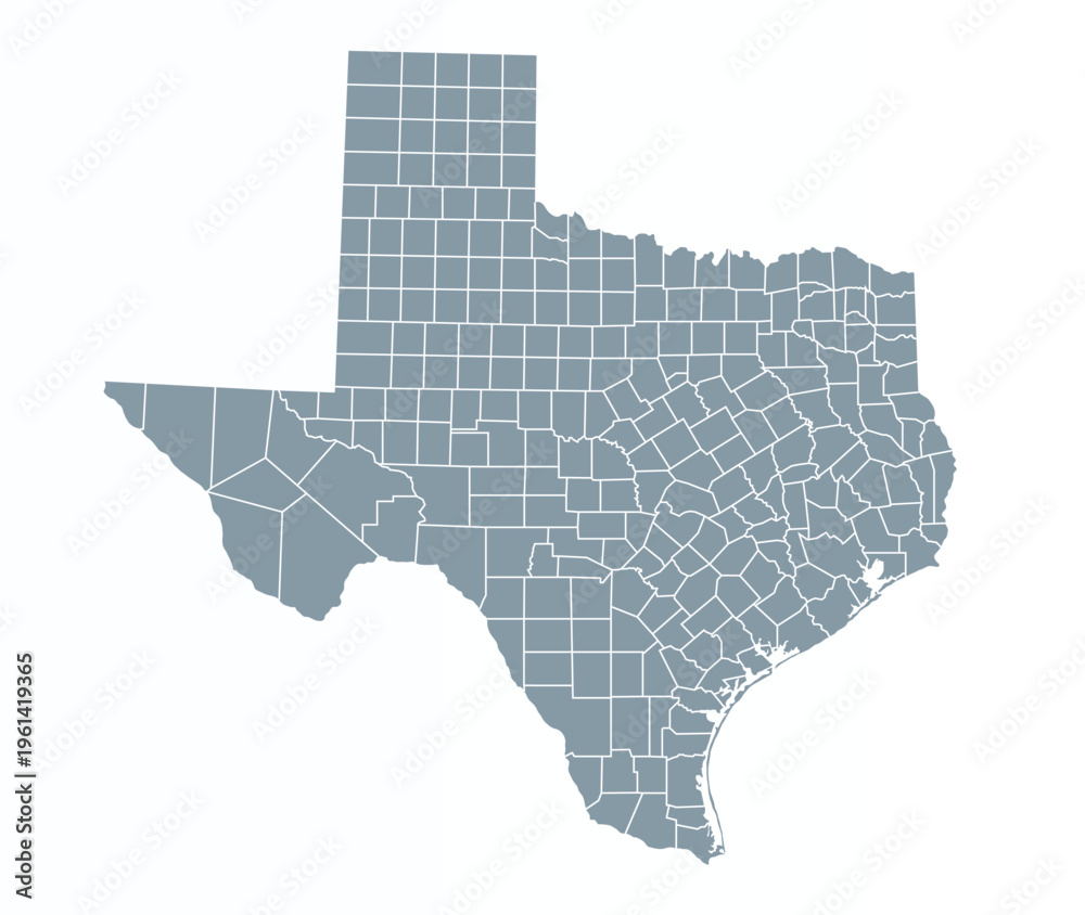 Obraz premium Map of Texas state with counties borders