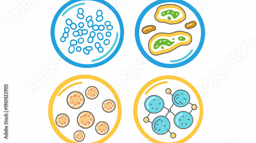Colorful vector illustration showing biological shapes within circles, representing microscopic views