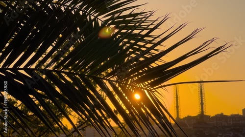 Silhouette palm leaves against golden sunset sky with visible sun lens flare and warm backlight - close up. Istanbul cityscape fading into orange evening light creating dramatic urban atmosphere