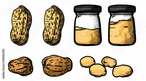 Hand-drawn illustration of peanuts, shelled peanuts, and jars of peanut butter