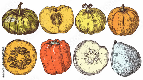 Assorted colorful vegetables, whole and halved, in a sketch style on a white background