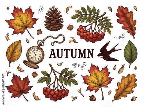 Autumn Nature Collection with Vintage Pocket Watch, Fall Leaves, Rowan Berries, Swallow and Pine Cone, Hand-Drawn Engraving Style Vector Illustration