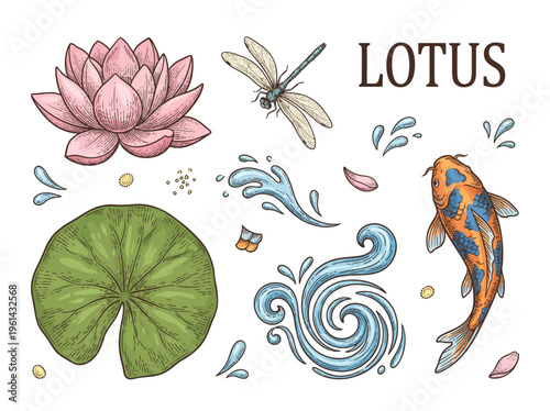Vintage Hand-Drawn Lotus Flower and Koi Fish Vector Illustration Set with Dragonfly, Water Lily Pad, and Splashes