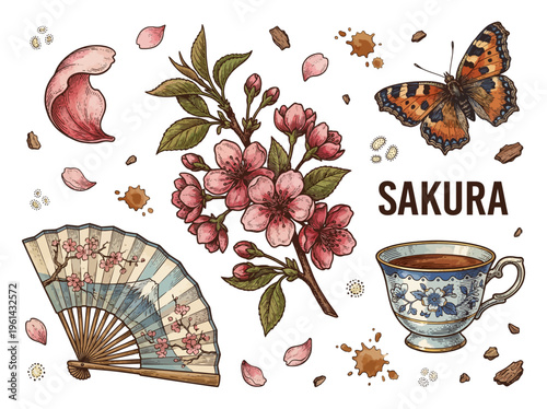 Japanese Sakura Collection with Hand Drawn Cherry Blossom Branch, Traditional Fan, Tea Cup and Butterfly Vector Illustration