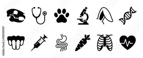 Set of black veterinary icons including a skull, stethoscope, paw print, microscope, syringe, and heartbeat symbol for animal health and science concepts in a simple silhouette style