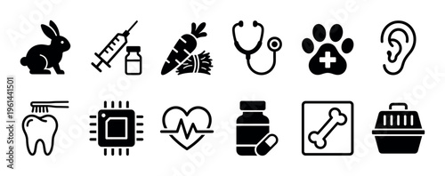 Set of black solid glyph icons for veterinary medicine and pet care services, including a rabbit, syringe, stethoscope, paw print, x-ray, microchip, and carrier