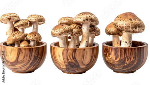 Three wooden bowls overflowing with fresh, textured mushrooms, isolated on black