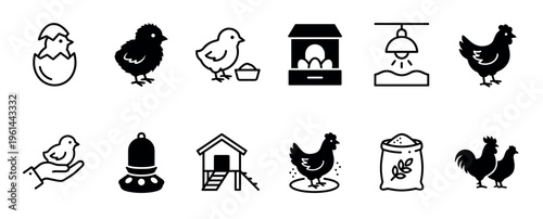 Set of poultry farming icons showing the chicken life cycle with a hatching chick, hen, rooster, coop, incubator, and feed in a minimalist black silhouette style