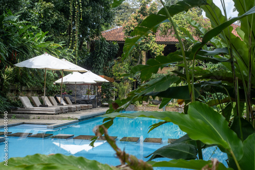 Experience ultimate relaxation by the pool of a tropical villa. Surrounded by verdant plants, this luxurious retreat offers serenity. A perfect escape from the everyday.