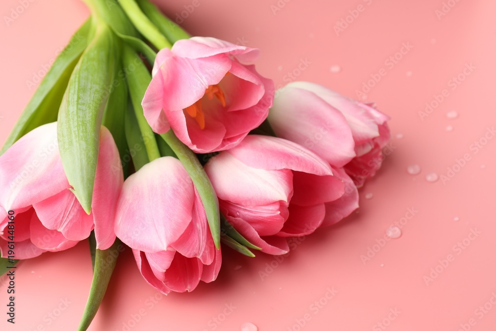 Fototapeta premium Bouquet of beautiful tulips on pink background with water drops, closeup