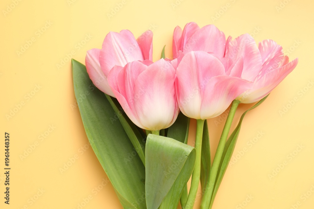 Fototapeta premium Beautiful pink tulips on pale yellow background, top view