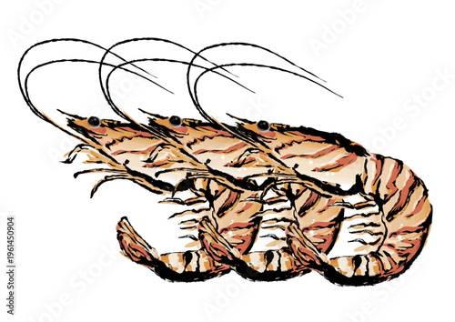 エビの墨絵イラスト	