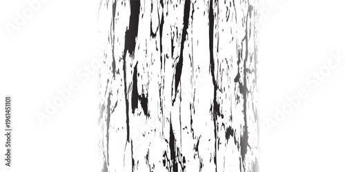 Overlay of tree wood texture bark. Black white wooden background surface with natural pattern. Vector plank wood texture.