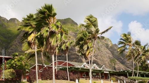 Kualoa Ranch in Oahu, Hawaii. Typical hawaiian nature with majestic mountains. High quality 4k footage