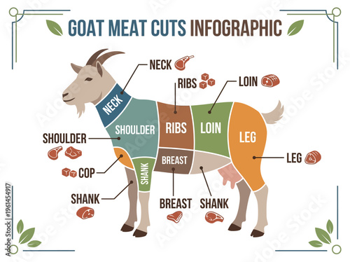A Detailed Infographic Illustrating the Various Cuts of Goat Meat