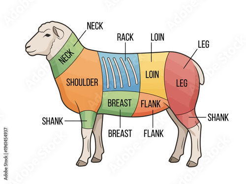 Diagram illustrating different cuts of lamb meat with labeled sections