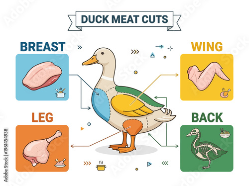 Diagram illustrating the different cuts of duck meat, including breast, leg, wing, and back