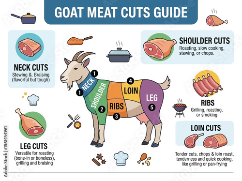 Detailed Infographic Guide to Goat Meat Cuts and Their Culinary Applications
