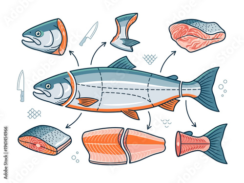 Detailed illustration showcasing the various cuts and portions of a whole salmon, with helpful diagrams and knife icons for culinary reference
